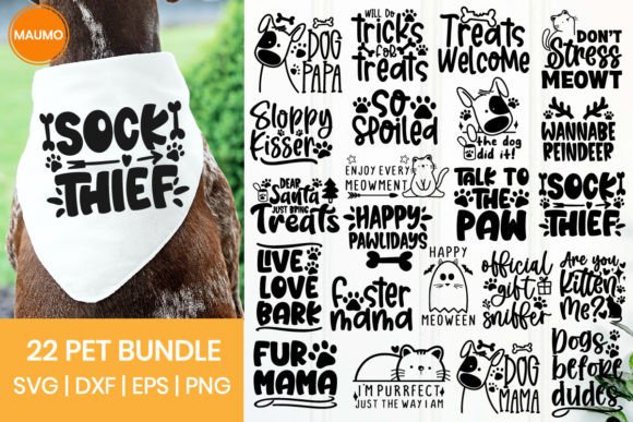 Funny Pet Svg Bundle Quotes: A Crafts & Graphics Review